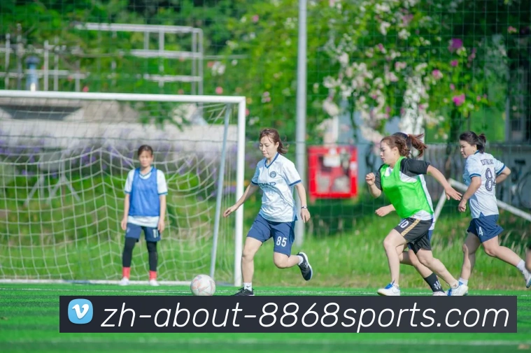 8868体育平台生态图