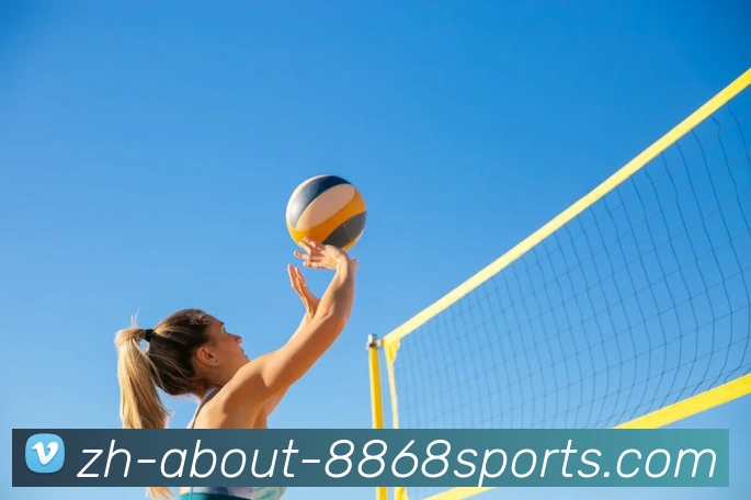 8868体育APP 封面图